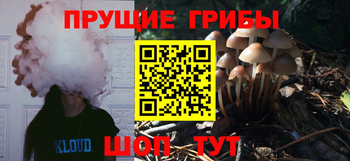 Галлюциногенные грибы MAGIC MUSHROOMS Нижний Новгород