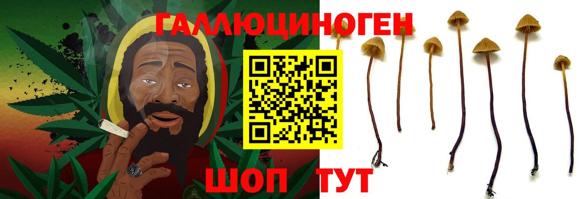 Нижний Новгород  Псилоцибиновые грибы мухоморы  Вход с VPN 